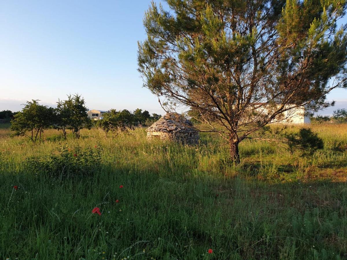 Villa Istra Divšići Eksteriør billede